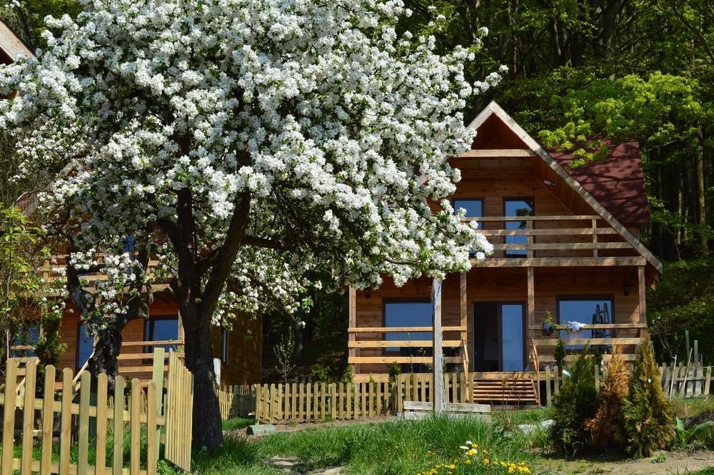 Hotel Osrodek Wczasowy Zloty Dab - Domki Misdroy Exterior foto