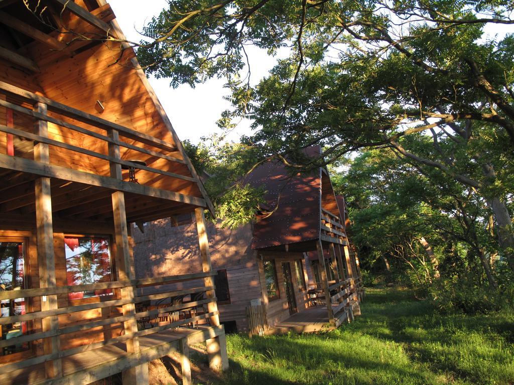 Hotel Osrodek Wczasowy Zloty Dab - Domki Misdroy Exterior foto