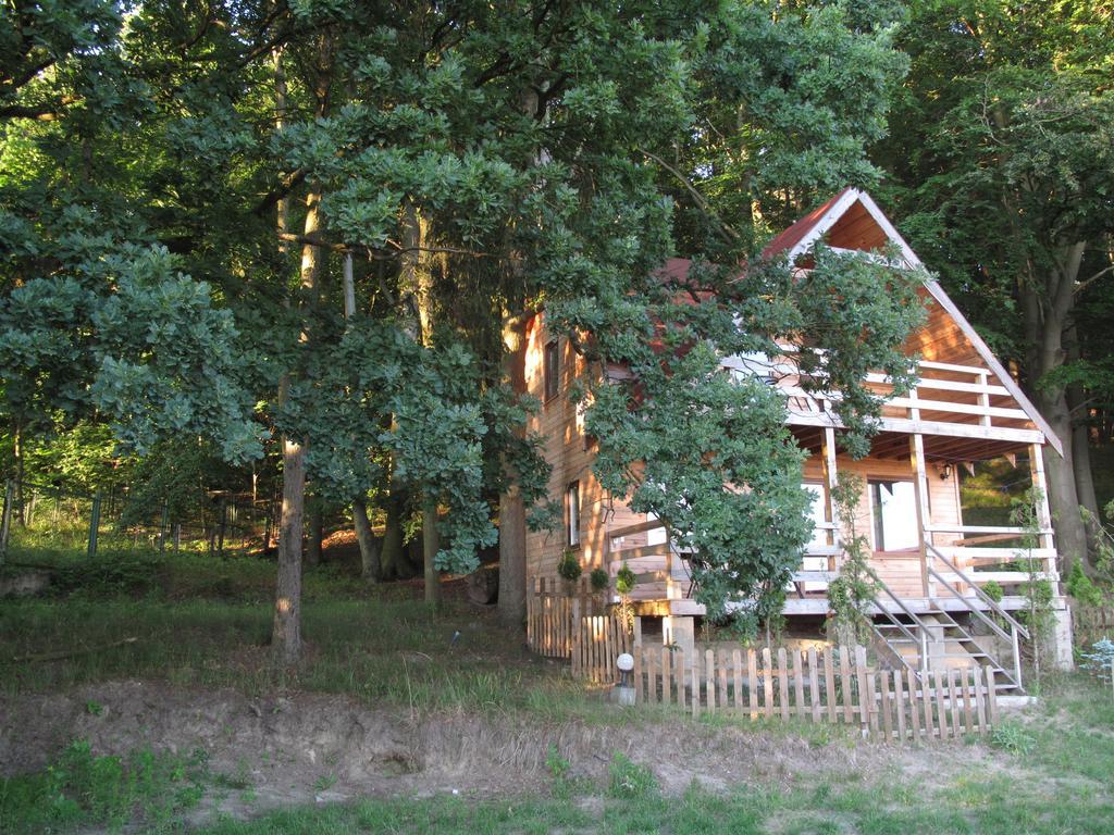 Hotel Osrodek Wczasowy Zloty Dab - Domki Misdroy Exterior foto