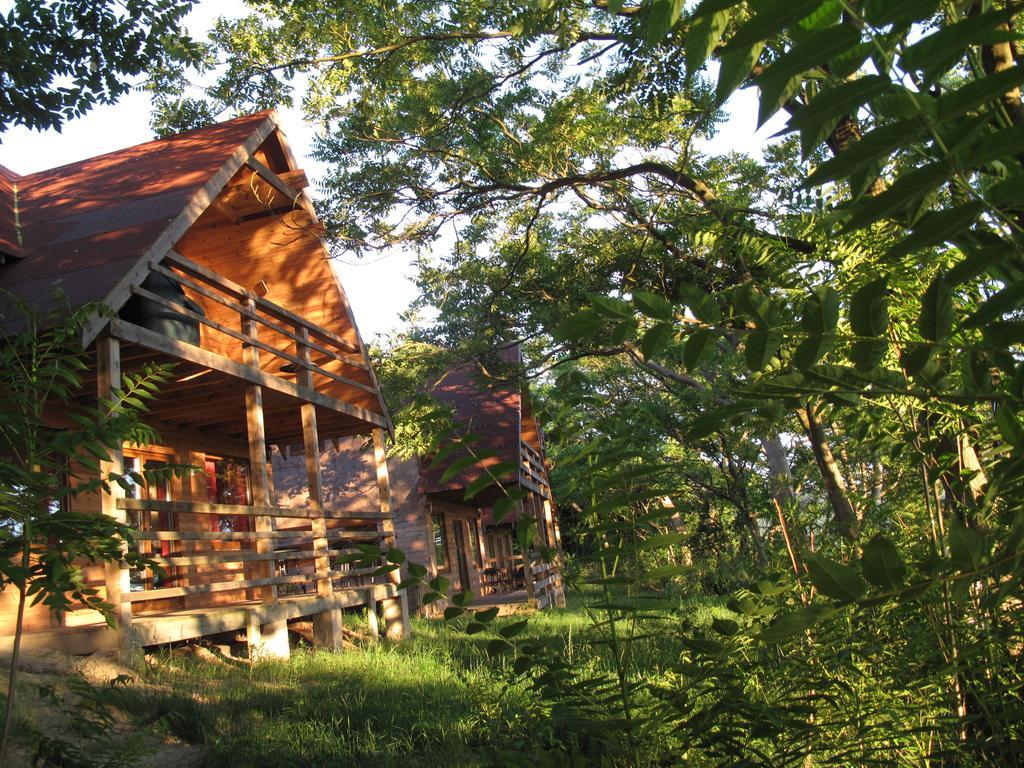 Hotel Osrodek Wczasowy Zloty Dab - Domki Misdroy Exterior foto